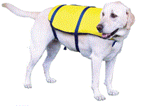  Nylon Pet Vest Yellow/Navy